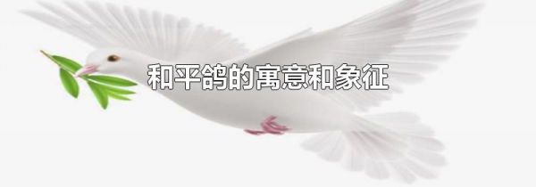 和平鸽的寓意和象征