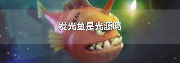 发光鱼是光源吗