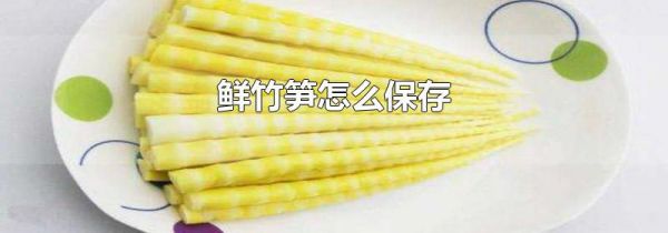 鲜竹笋怎么保存