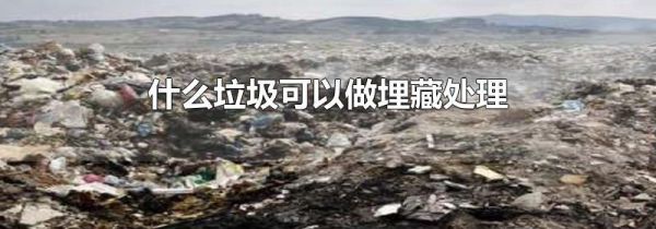 什么垃圾可以做埋藏处理