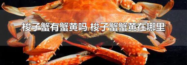梭子蟹有蟹黄吗 梭子蟹蟹黄在哪里