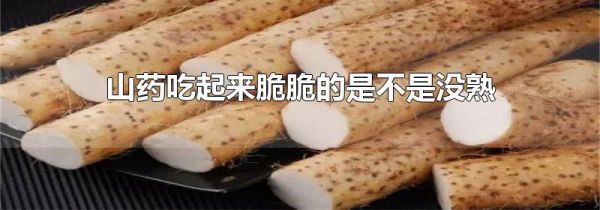 山药吃起来脆脆的是不是没熟