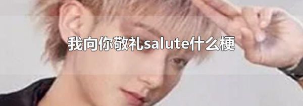 我向你敬礼salute什么梗