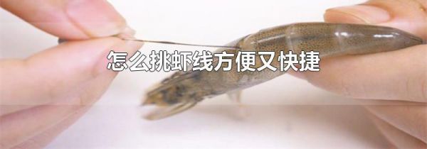 怎么挑虾线方便又快捷