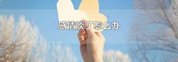 感情淡了怎么办