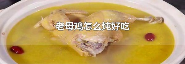 老母鸡怎么炖好吃