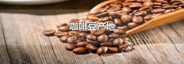 咖啡豆产地