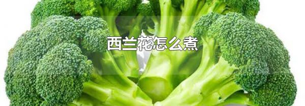 西兰花怎么煮