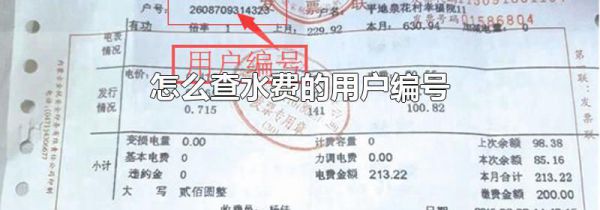 怎么查水费的用户编号