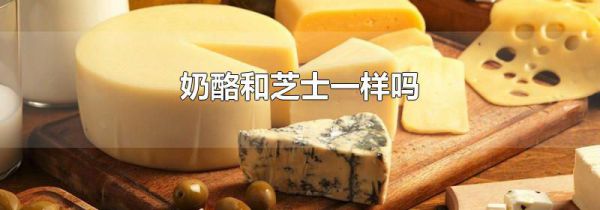 奶酪和芝士一样吗
