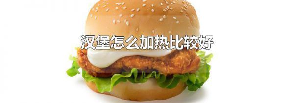 汉堡怎么加热比较好
