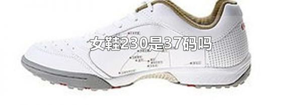 女鞋230是37码吗