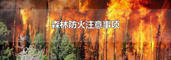 森林防火注意事项