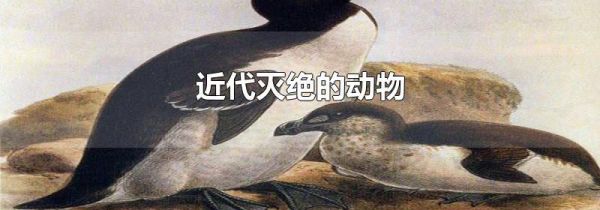 近代灭绝的动物