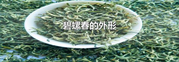 碧螺春的外形