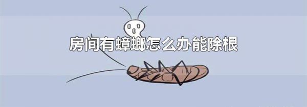 房间有蟑螂怎么办能除根