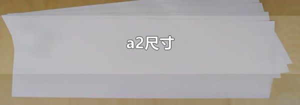 a2尺寸