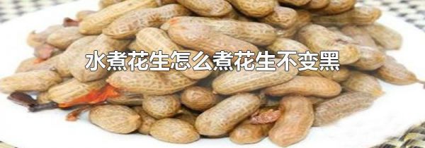 水煮花生怎么煮花生不变黑