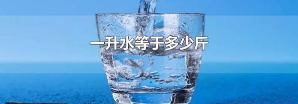 一升水等于多少斤