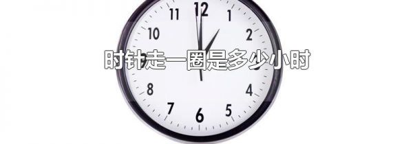 时针走一圈是多少小时