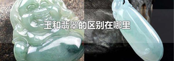 玉和翡翠的区别在哪里