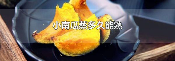 小南瓜蒸多久能熟