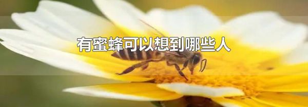 有蜜蜂可以想到哪些人