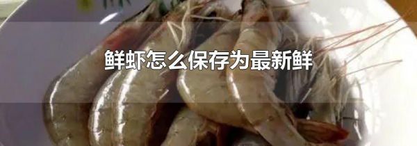 鲜虾怎么保存为最新鲜