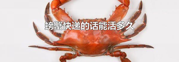 螃蟹快递的话能活多久