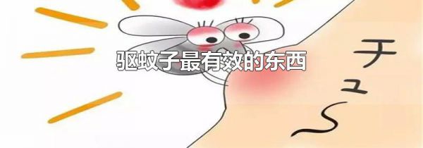 驱蚊子最有效的东西