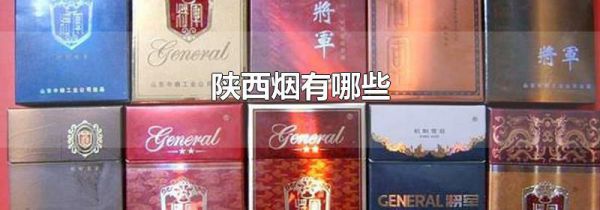 陕西烟有哪些