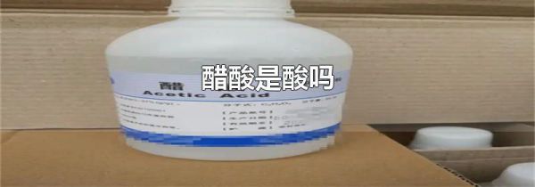 醋酸是酸吗