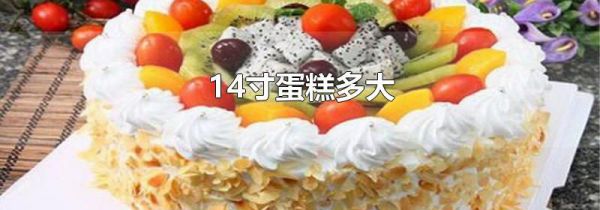 14寸蛋糕多大