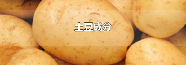 土豆成分