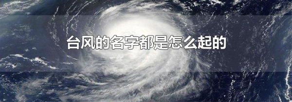 台风的名字都是怎么起的