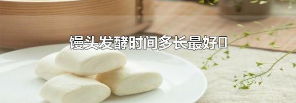馒头发酵时间多长最好