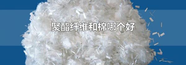聚酯纤维和棉哪个好