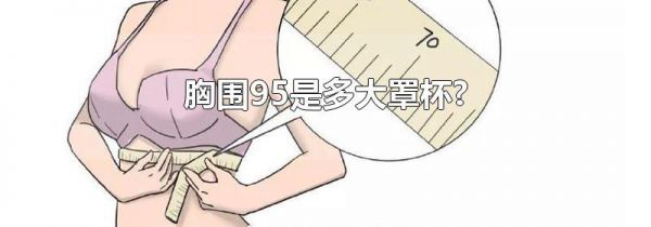 胸围95是多大罩杯?