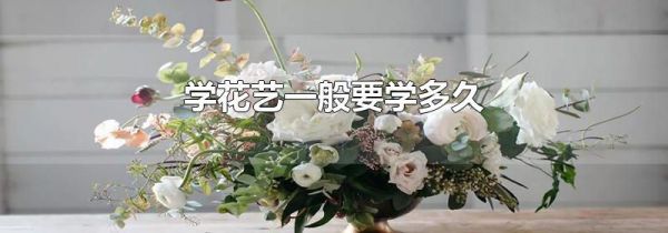 学花艺一般要学多久