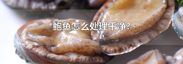 鲍鱼怎么处理干净?