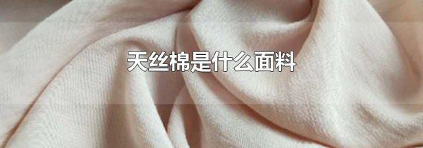 天丝棉是什么面料