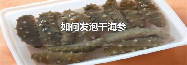 如何发泡干海参