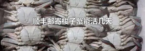 顺丰邮寄梭子蟹能活几天