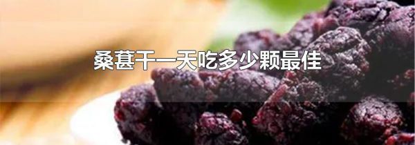 桑葚干一天吃多少颗最佳