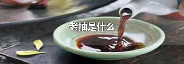 老抽是什么
