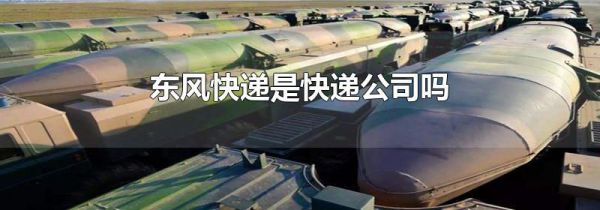 东风快递是快递公司吗