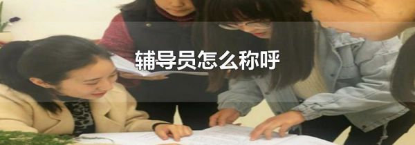 辅导员怎么称呼
