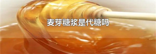 麦芽糖浆是代糖吗
