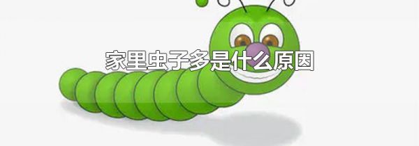 家里虫子多是什么原因