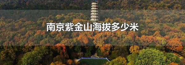 南京紫金山海拔多少米